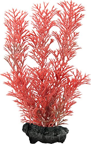 tetra-decoart-plant-foxtail-red-s-k-nstliche-aquariumpflanze-rot image 8