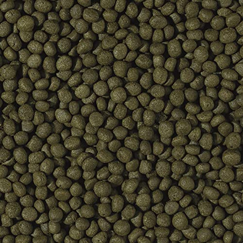 tropical-cichlid-herbivore-medium-pellet-schwimmendes-granulat-500-ml image 5