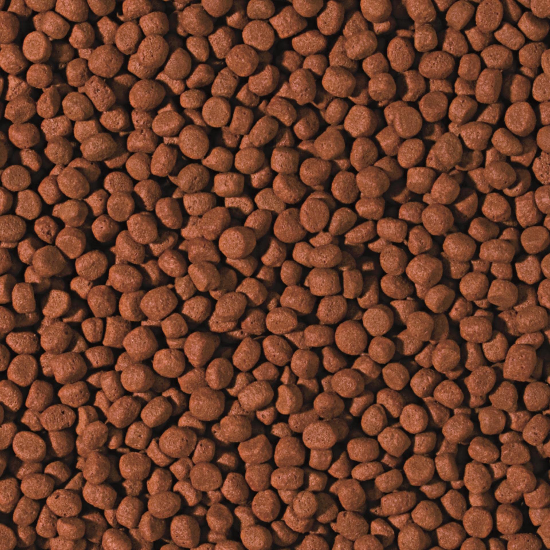 tropical-cichlid-carnivore-pellet-m-10l-schwimmendes-farbfutter-f-r-fleischfress image 2