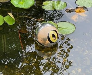 Endlich Ruhe am Teich