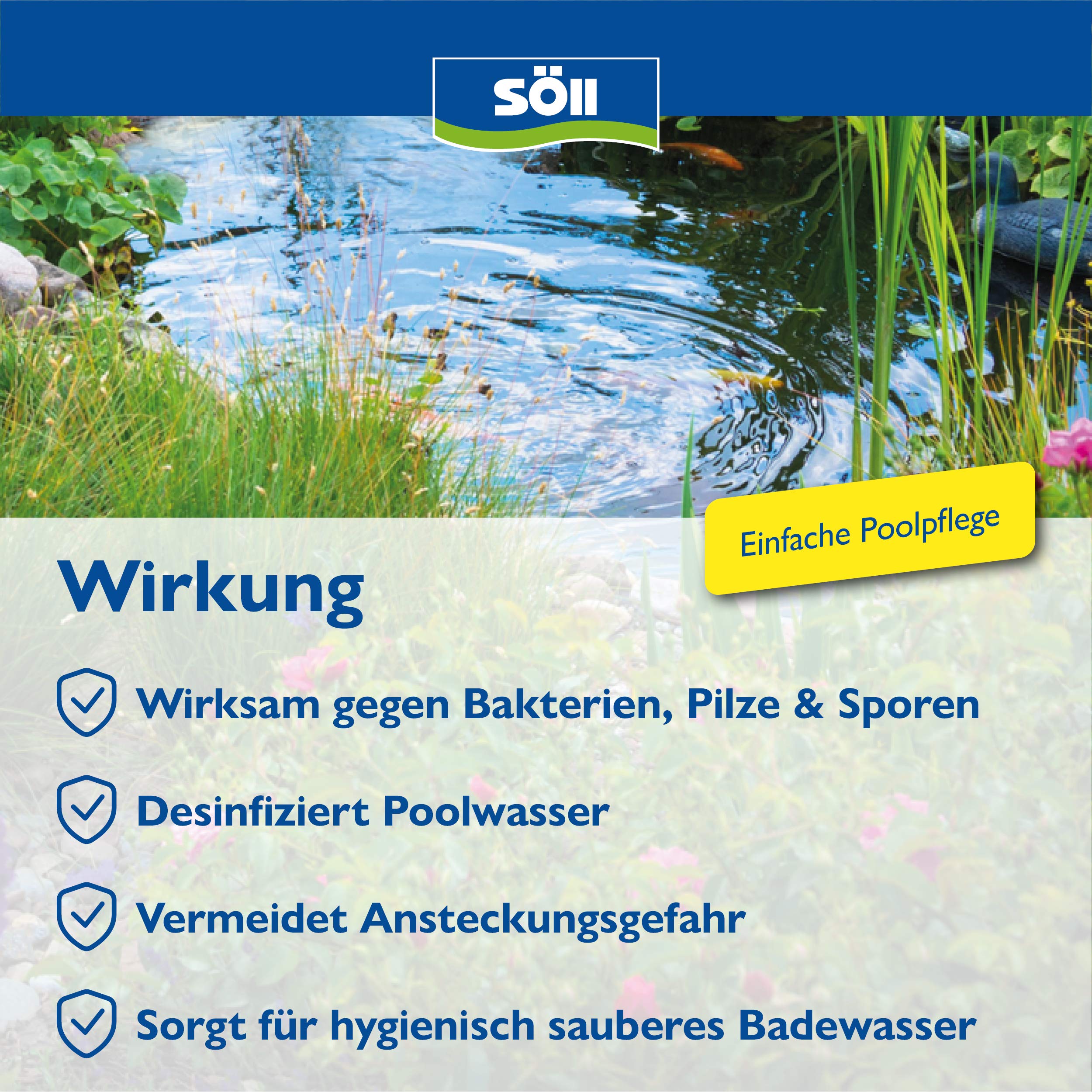 s-ll-aquades-1-l-pool-desinfektion-poolreinigung-wasserpflege-f-r-pool-planschbe image 3