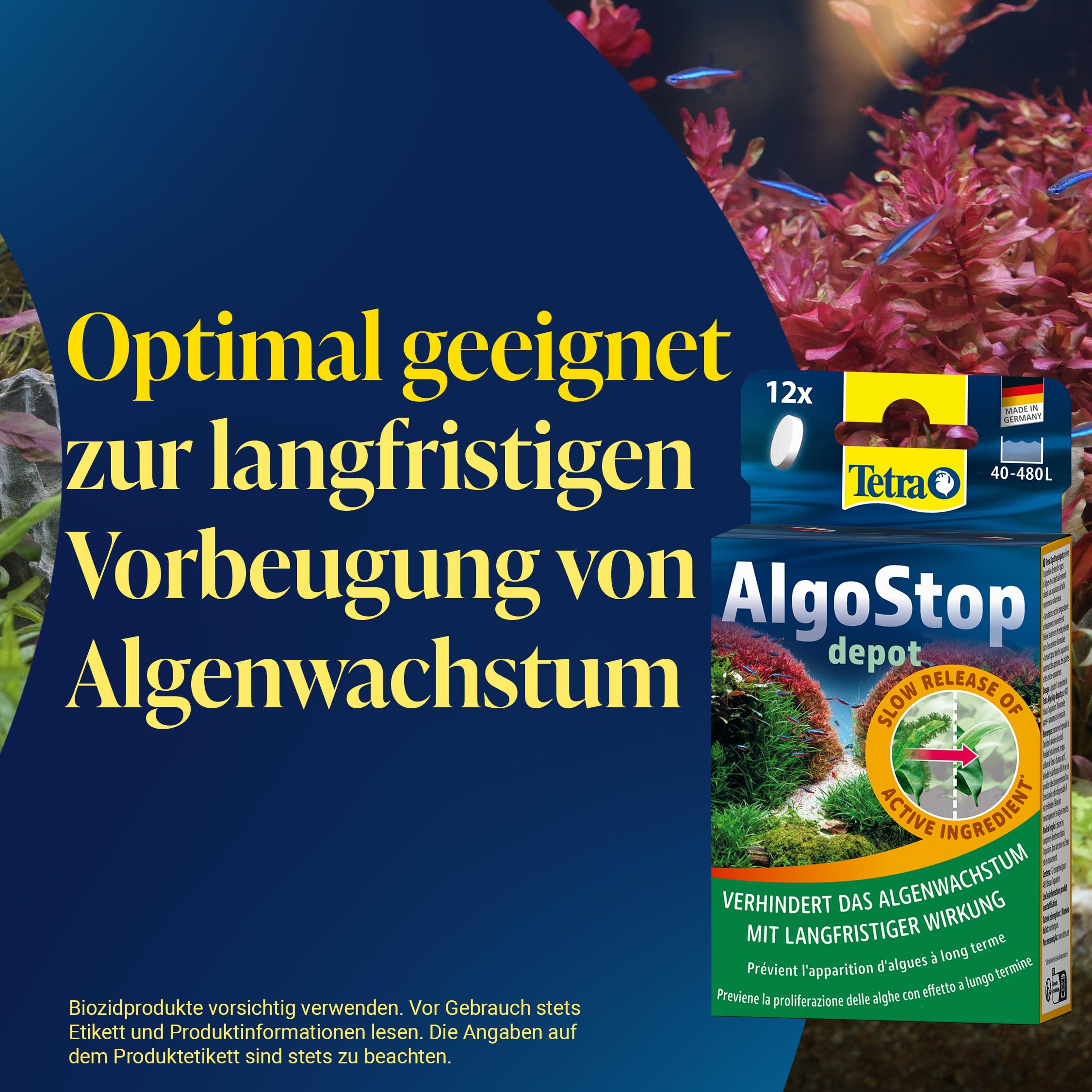 tetra-algostop-depot-algenbek-mpfung-12-tabletten-f-r-aquarien image 3