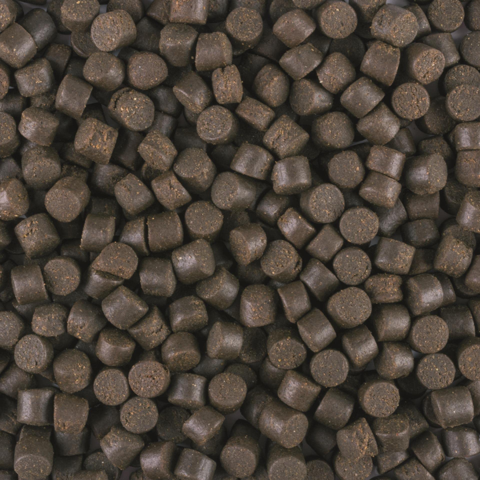 tropical-sterletts-basic-gr-e-l-sinkendes-granulat-f-r-bodenfische-1000-ml-500-g image 2
