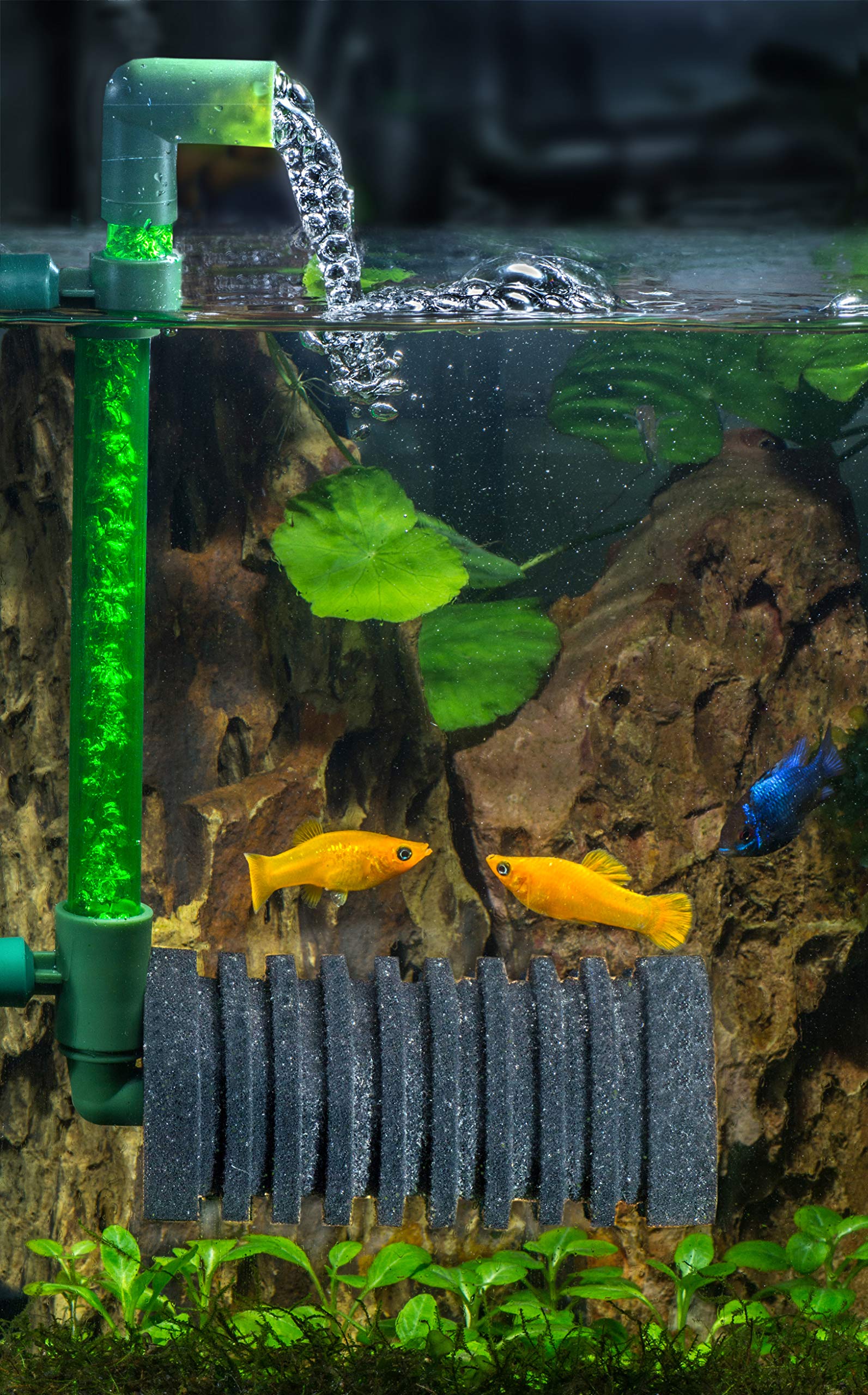 tetra-brillant-filter-luftbetriebener-aquarium-innenfilter image 3