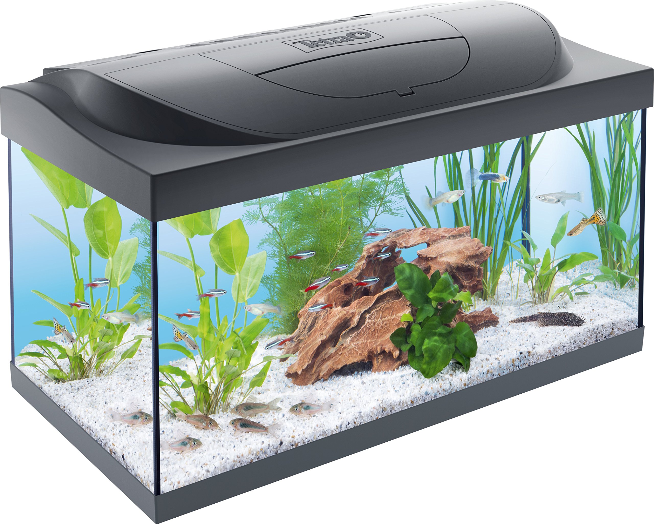 tetra-starter-line-54-l-aquarium-komplett-set-led-schwarz-60x30x30-cm image 1
