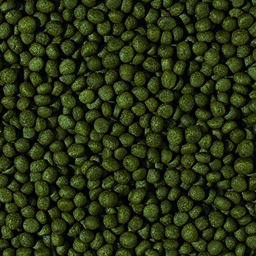 tropical-cichlid-herbivore-medium-pellet-pflanzenfutter-f-r-mittlere-und-gro-e-c image 4