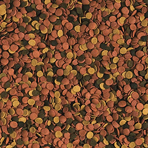 tropical-supervit-chips-5000-g-sinkende-chips-f-r-allesfresser image 4