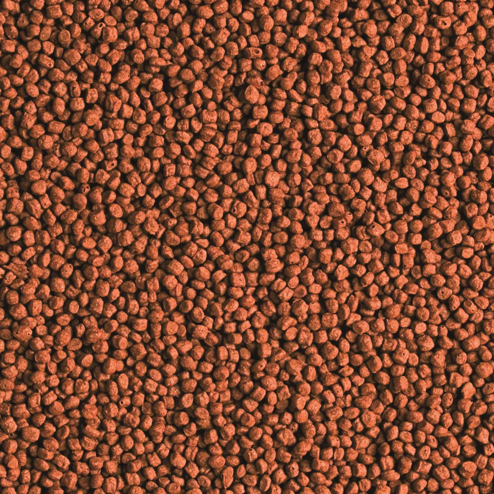 tropical-red-parrot-granulat-250-ml-farbverst-rkendes-futter-f-r-papageienbuntba image 2