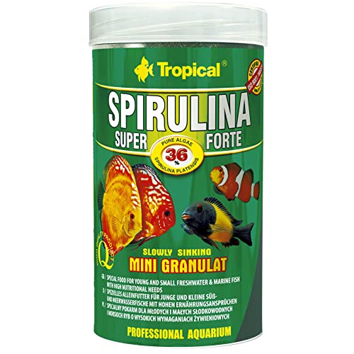 tropical-super-spirulina-forte-mini-granulat-250-ml-36-spirulina image 4