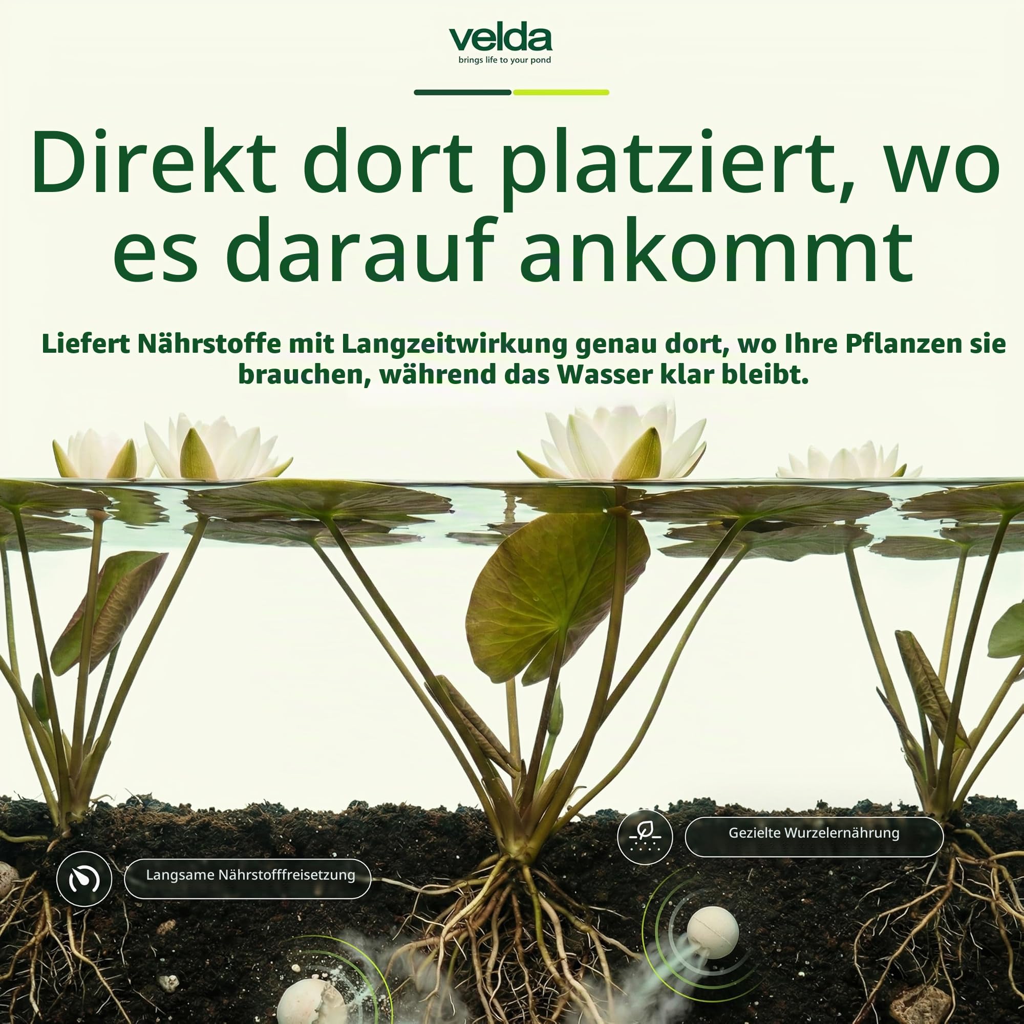 velda-super-d-ngerkugeln-xl-teichpflanzend-nger image 3