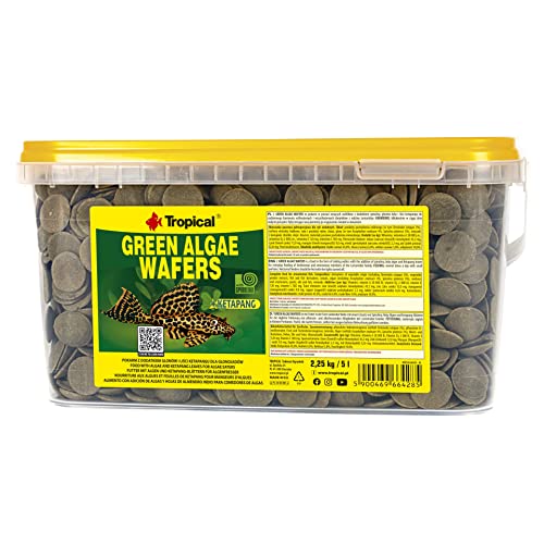 tropical-green-algae-wafers-welschips-250-ml-f-r-pflanzenfressende-bodenfische image 6