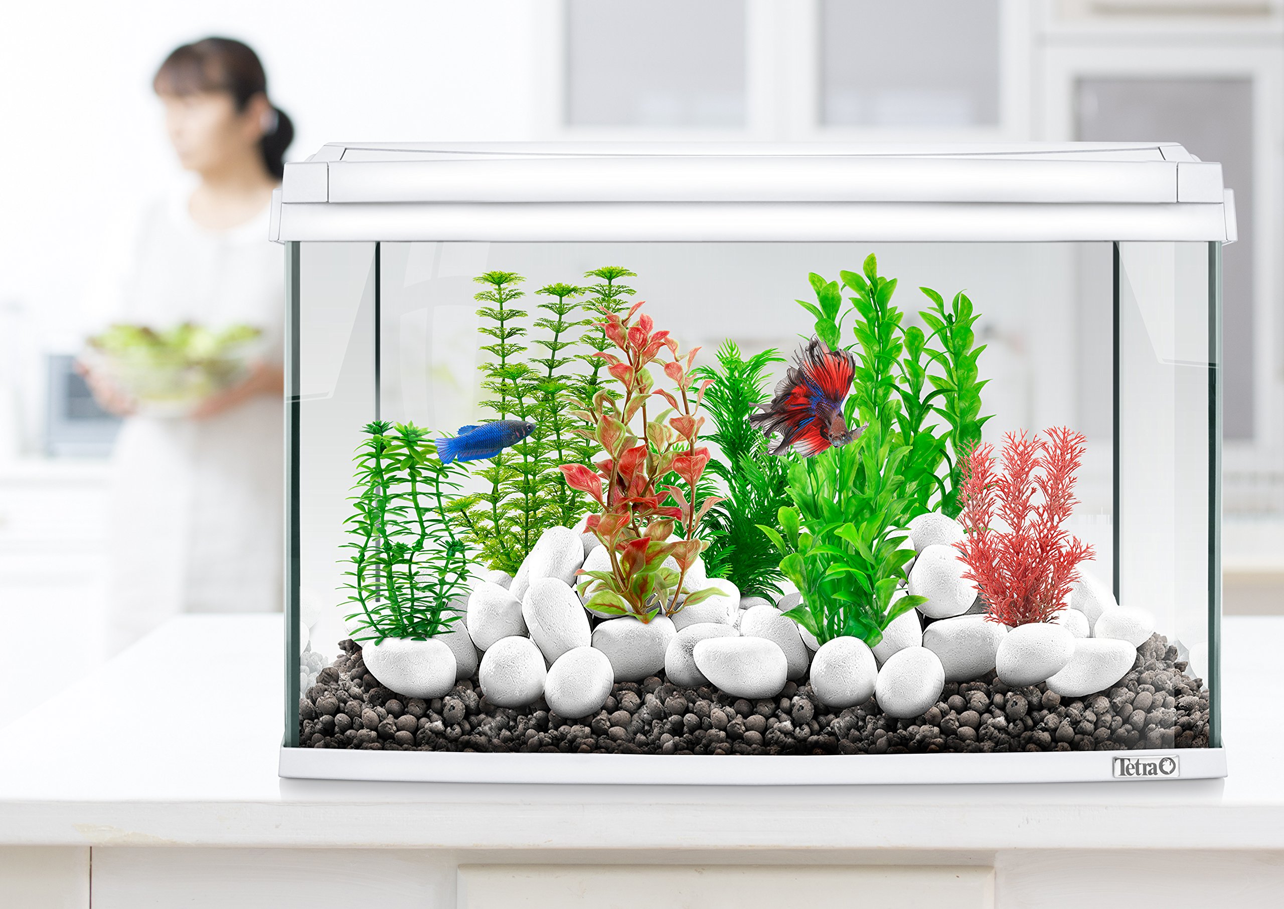 tetra-decoart-plant-foxtail-red-s-k-nstliche-aquariumpflanze-rot image 5