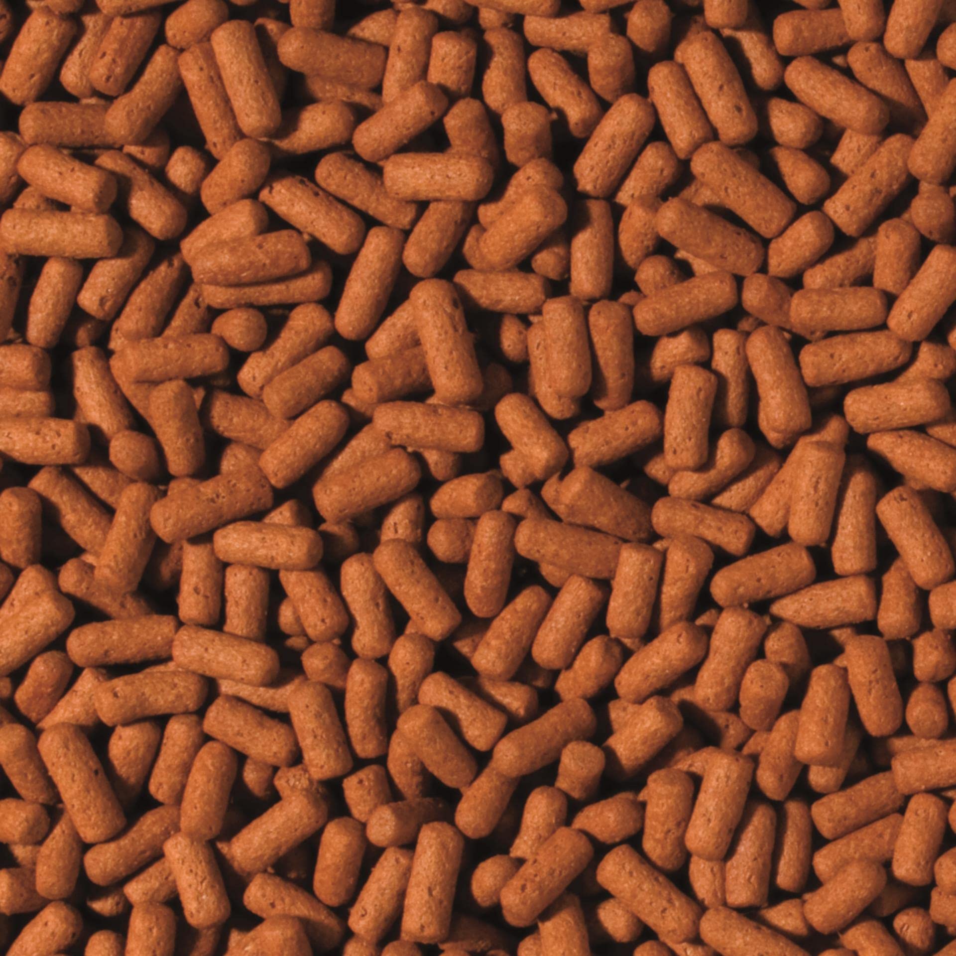tropical-cichlid-arowana-large-sticks-10-000-ml-gro-sticks-mit-vitamin-c-f-r-cic image 2