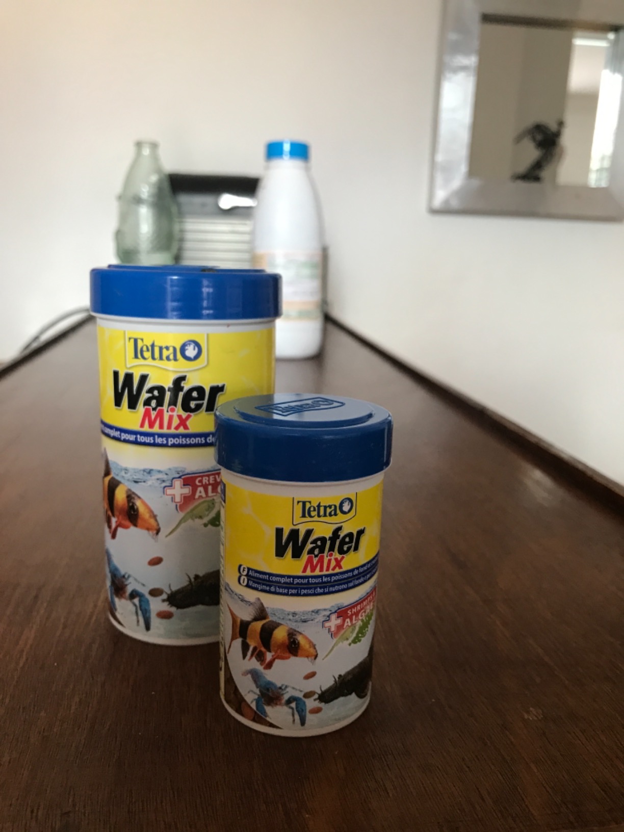 Gesunde Fische, klares Wasser
