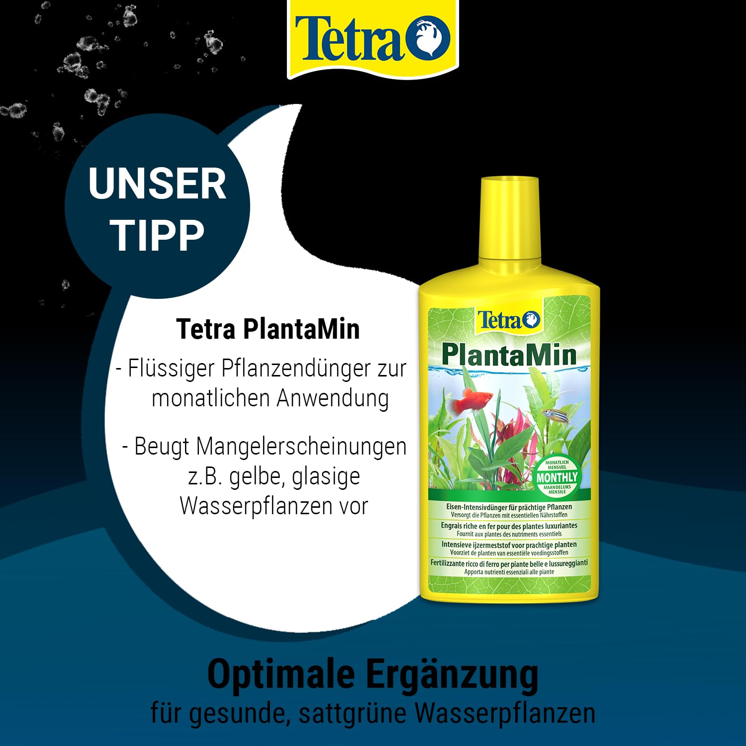 tetra-initial-sticks-d-ngest-bchen-250-ml-bodengrund-d-nger image 8
