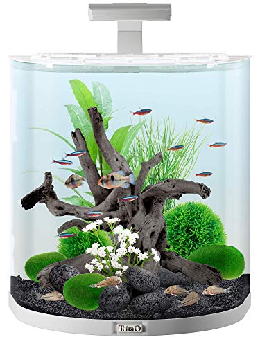 tetra-aquaart-explorer-line-aquarium-komplett-set-60l-wei image 6