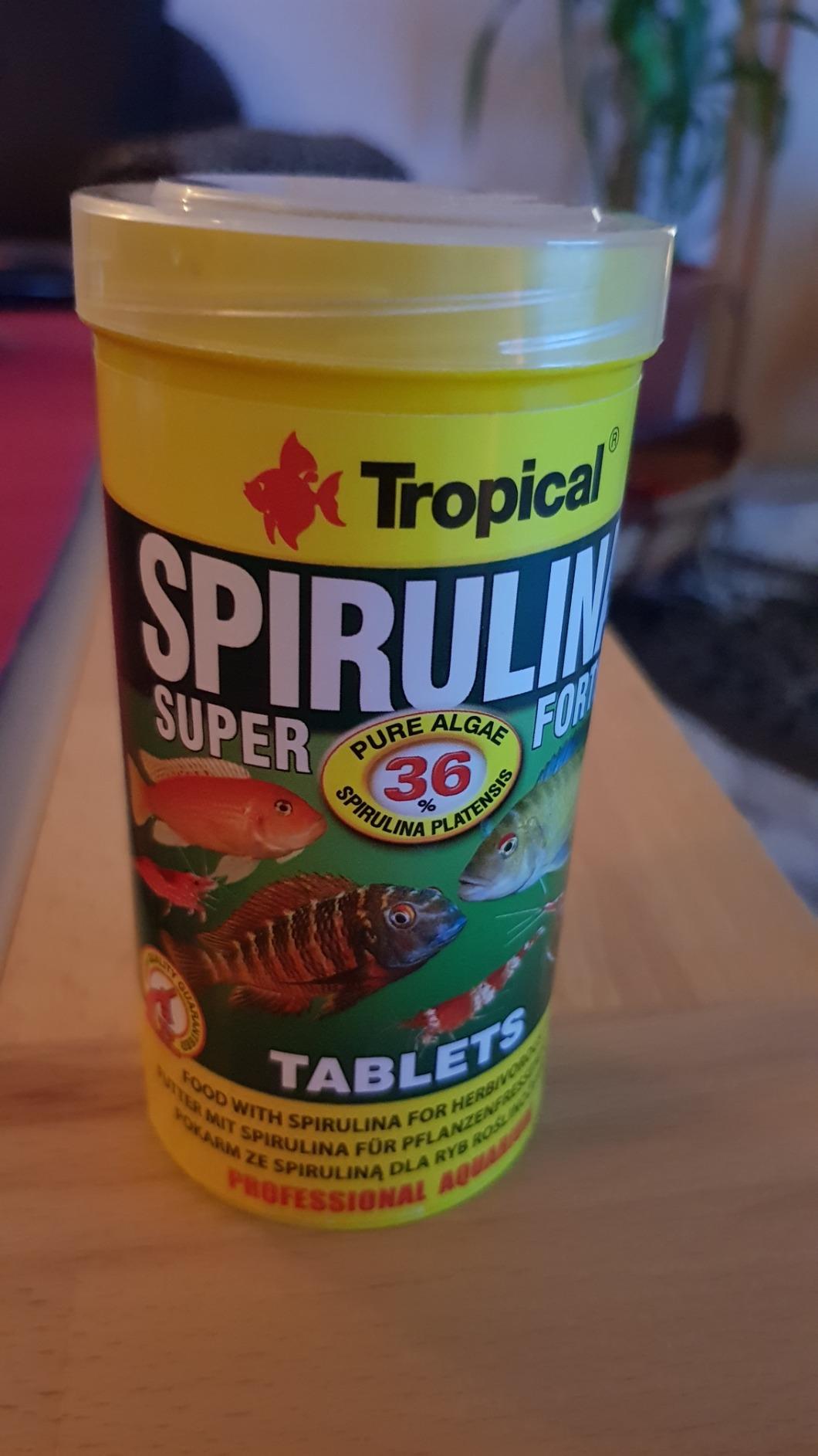 Meine Malawis lieben die Tabs