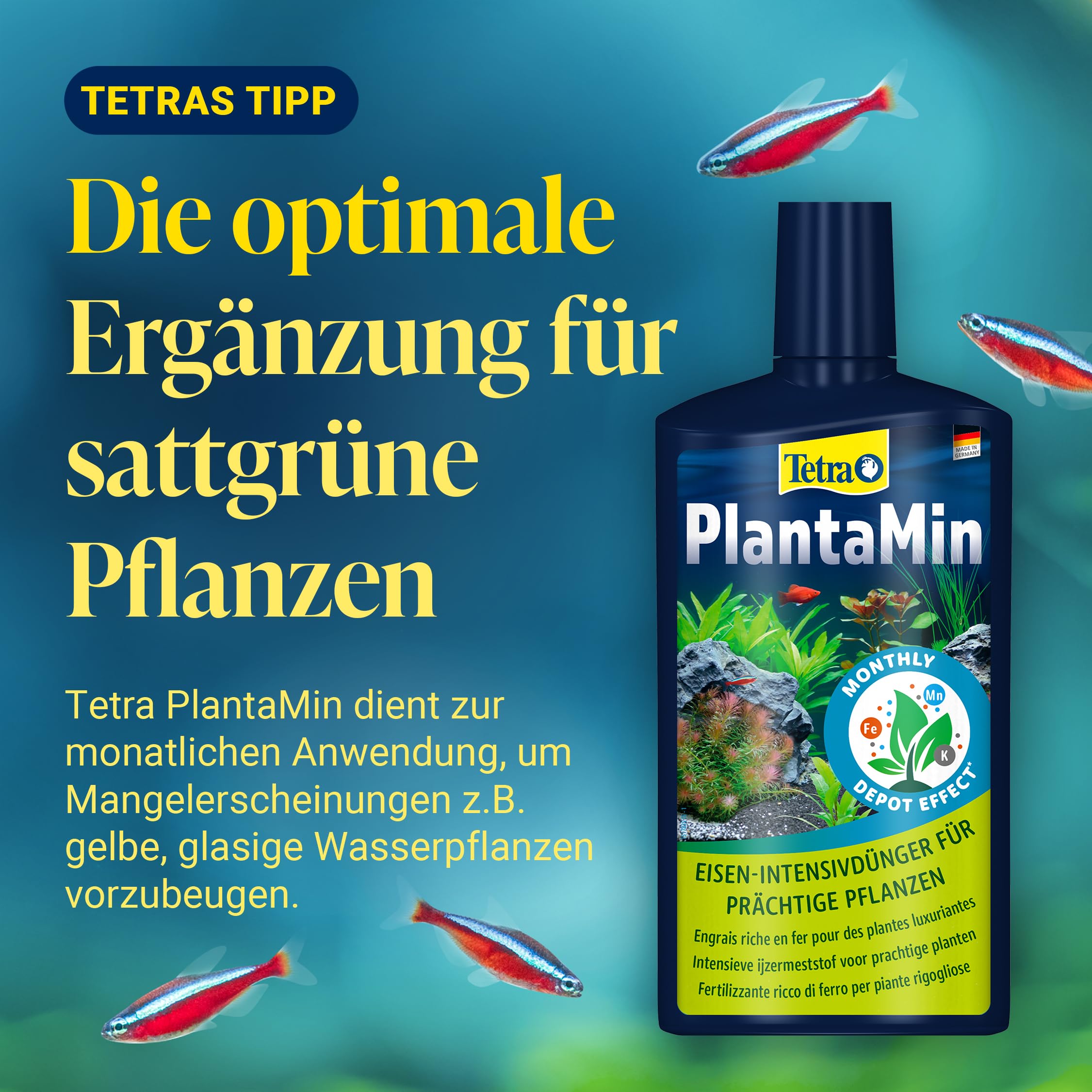 tetra-crypto-d-ngetabletten-wurzel-d-nger-f-r-aquarienpflanzen-10-tabletten image 8