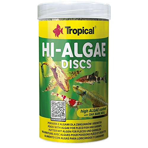 tropical-hi-algae-discs-1cm-250ml-sinkende-algen-chips-f-r-bodenfische image 3