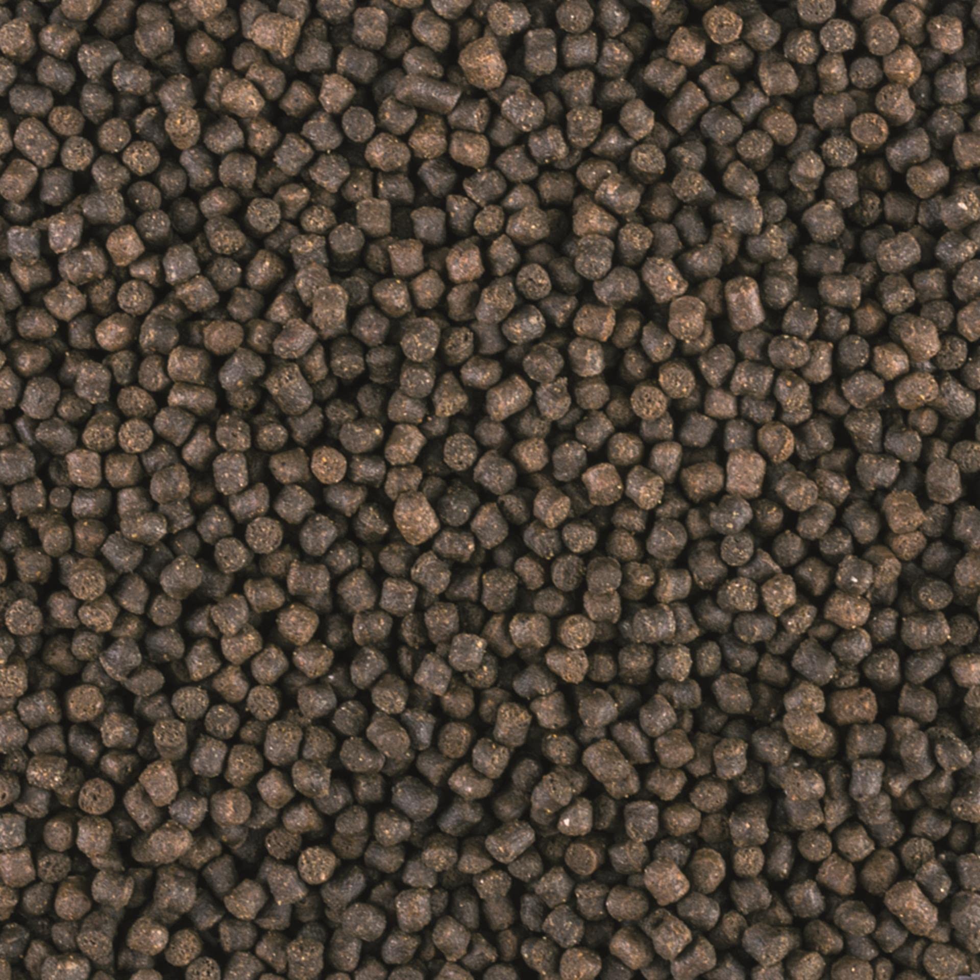 tropical-sterletts-basic-gr-e-s-sinkendes-granulat-f-r-bodenfische-1000-ml-500-g image 2