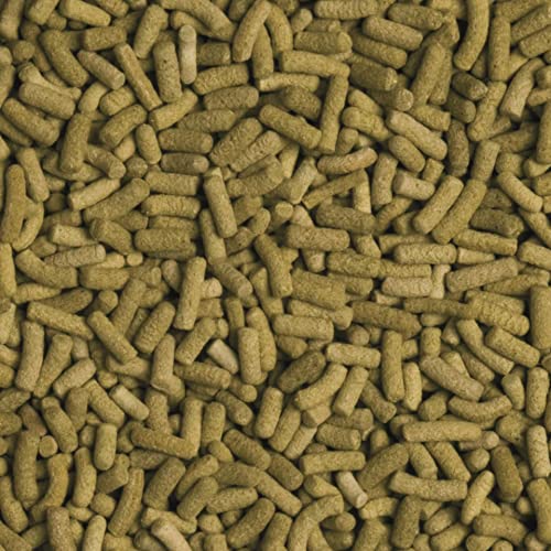 tropical-biorept-l-sticks-5-l-1-4-kg-landschildkr-tenfutter image 4
