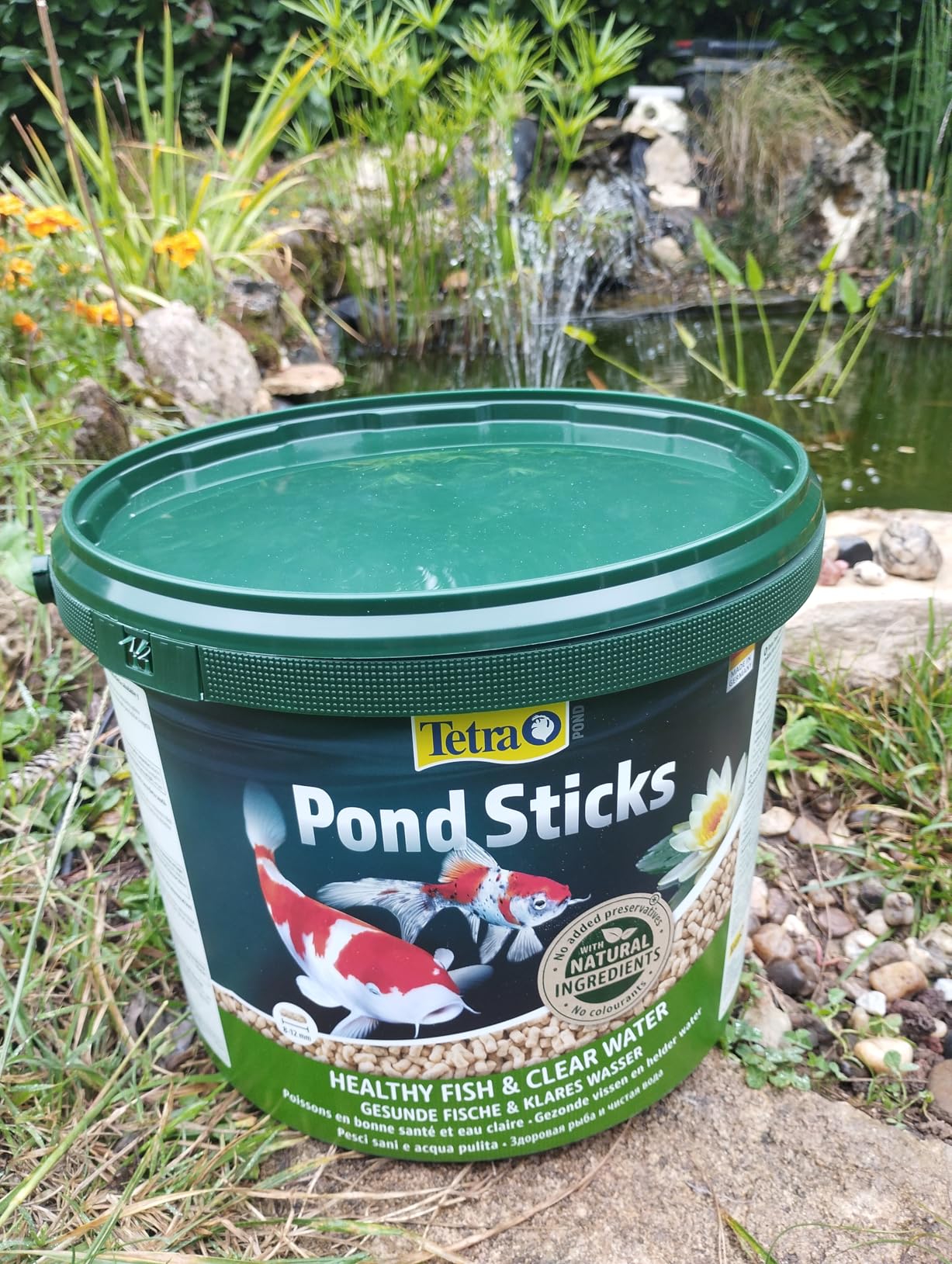 Gut für Goldfische, Koi mäßig