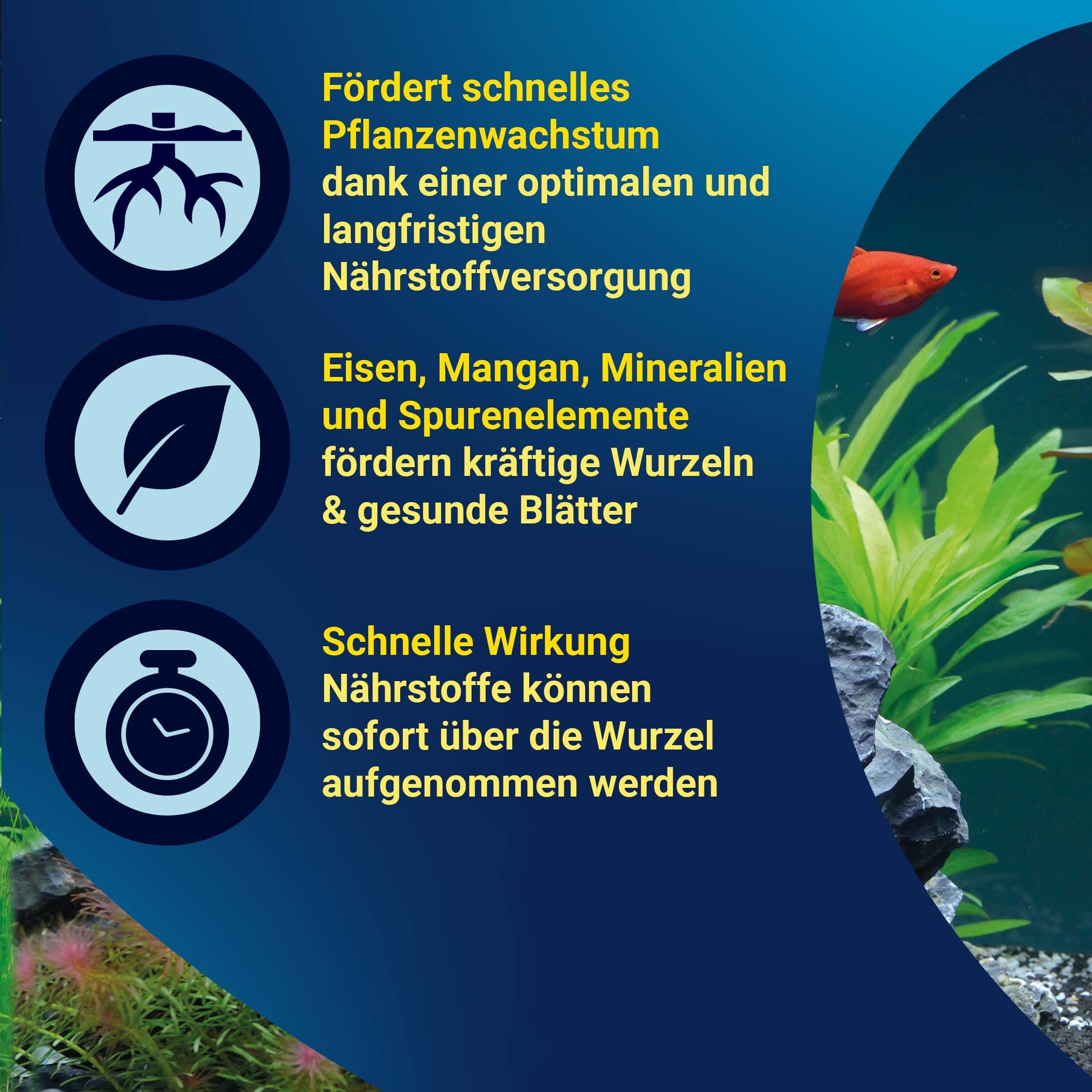tetra-crypto-d-ngetabletten-wurzel-d-nger-f-r-aquarienpflanzen-10-tabletten image 4