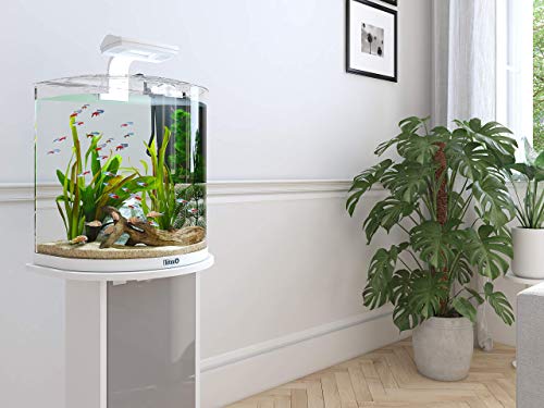 tetra-aquaart-explorer-line-aquarium-komplett-set-60l-wei image 8