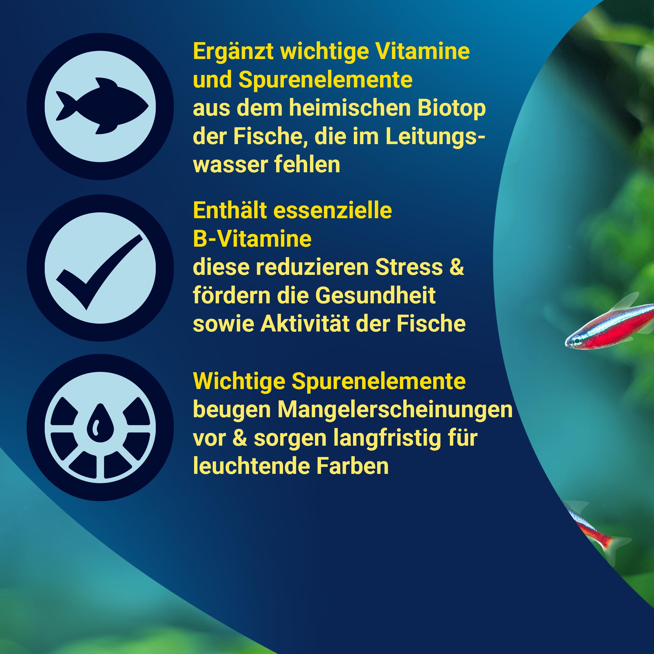 tetra-vital-wasserpflegemittel-mit-vitaminen-500-ml image 4