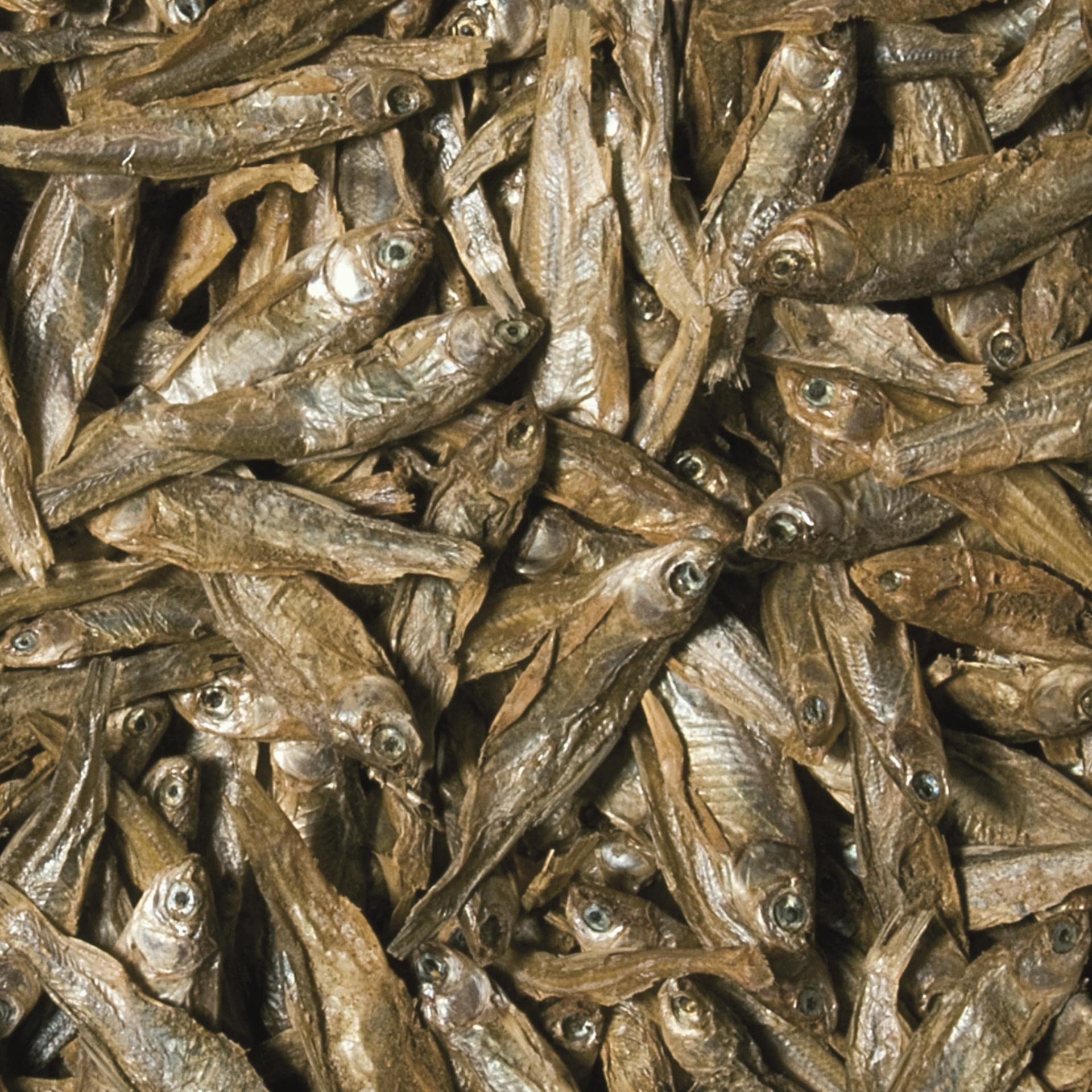 tropical-dried-fish-alleinfutter-f-r-teich-und-wasserschildkr-ten-100-ml image 2