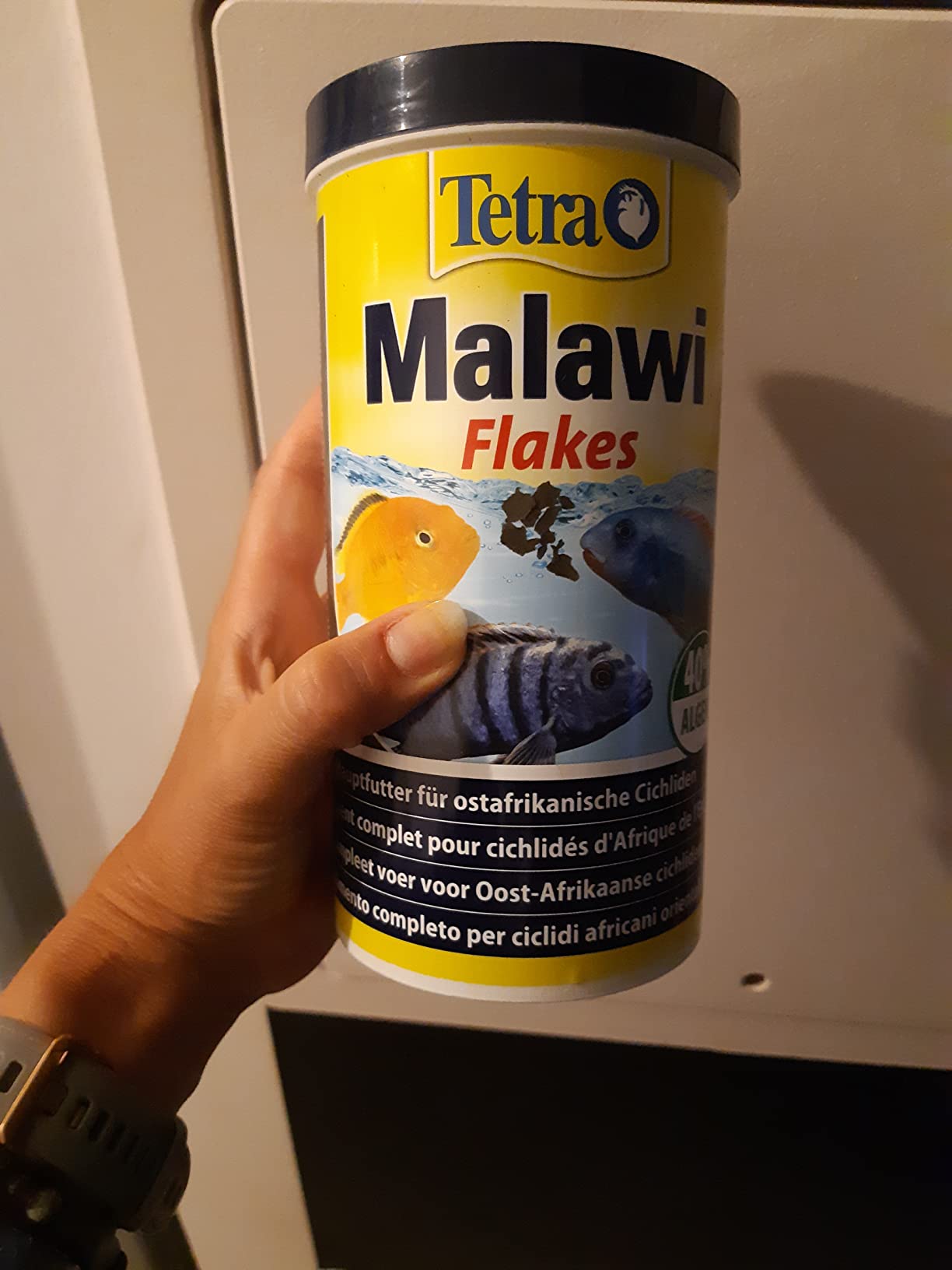 Mbunas stürzen sich drauf