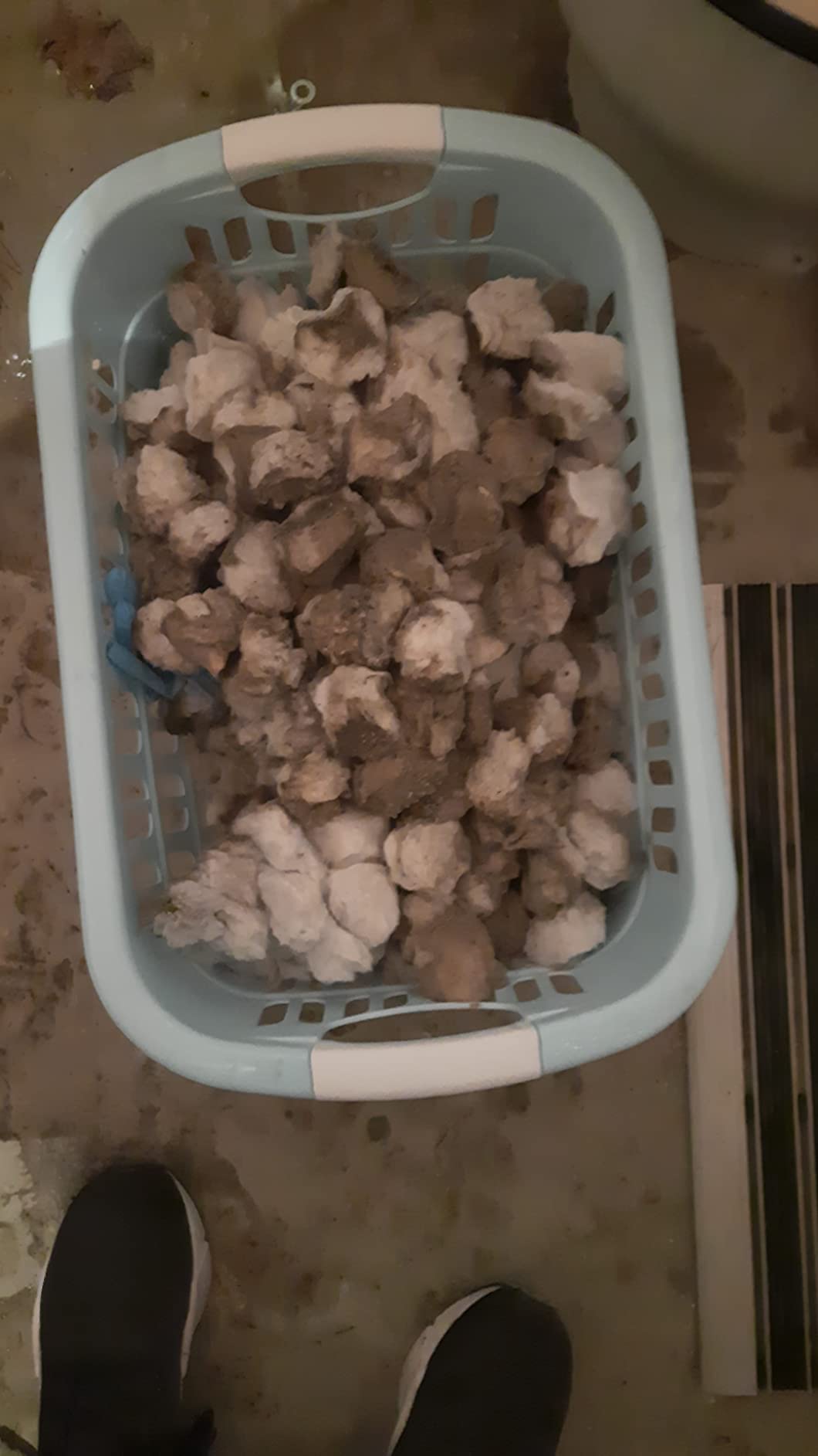 Jungspund begeistert, Opa auch