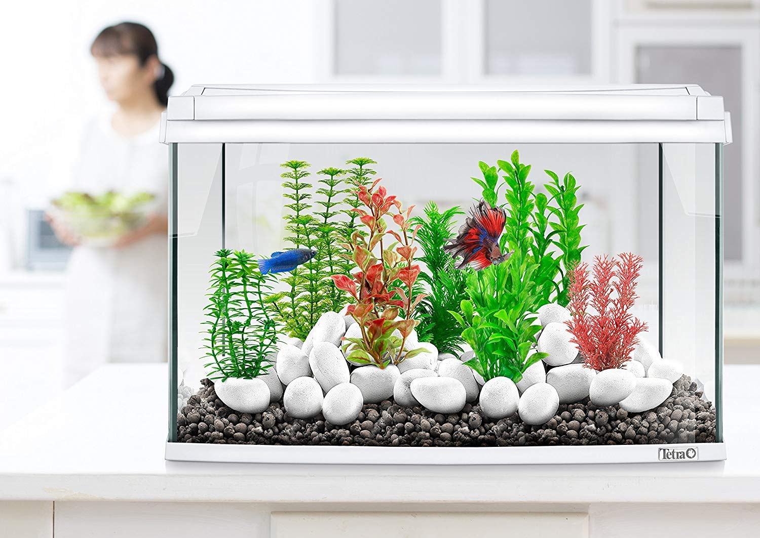 tetra-decoart-plant-anacharis-gr-e-m-k-nstliche-aquariumpflanze-gr-n image 5