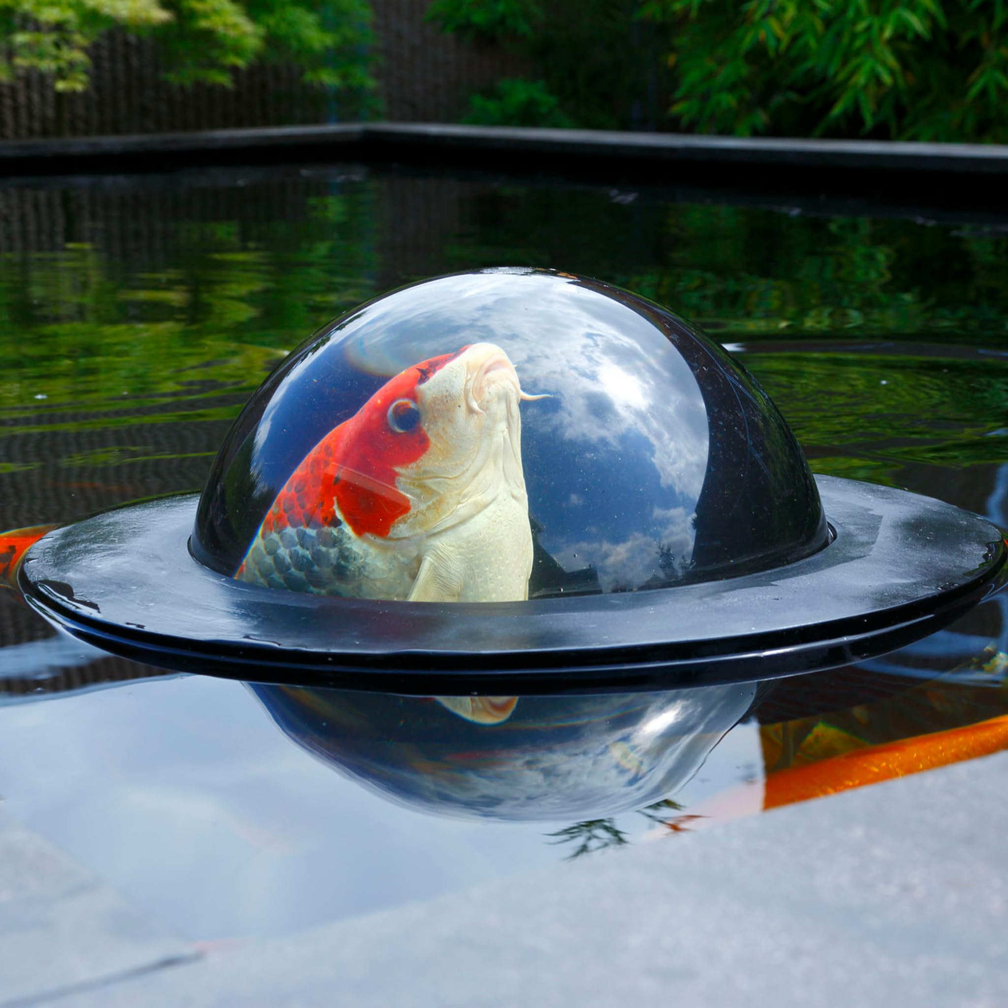 velda-123503-floating-fish-dome-m-35-cm-plexiglas-beobachtungskuppel-f-r-teichfi image 4