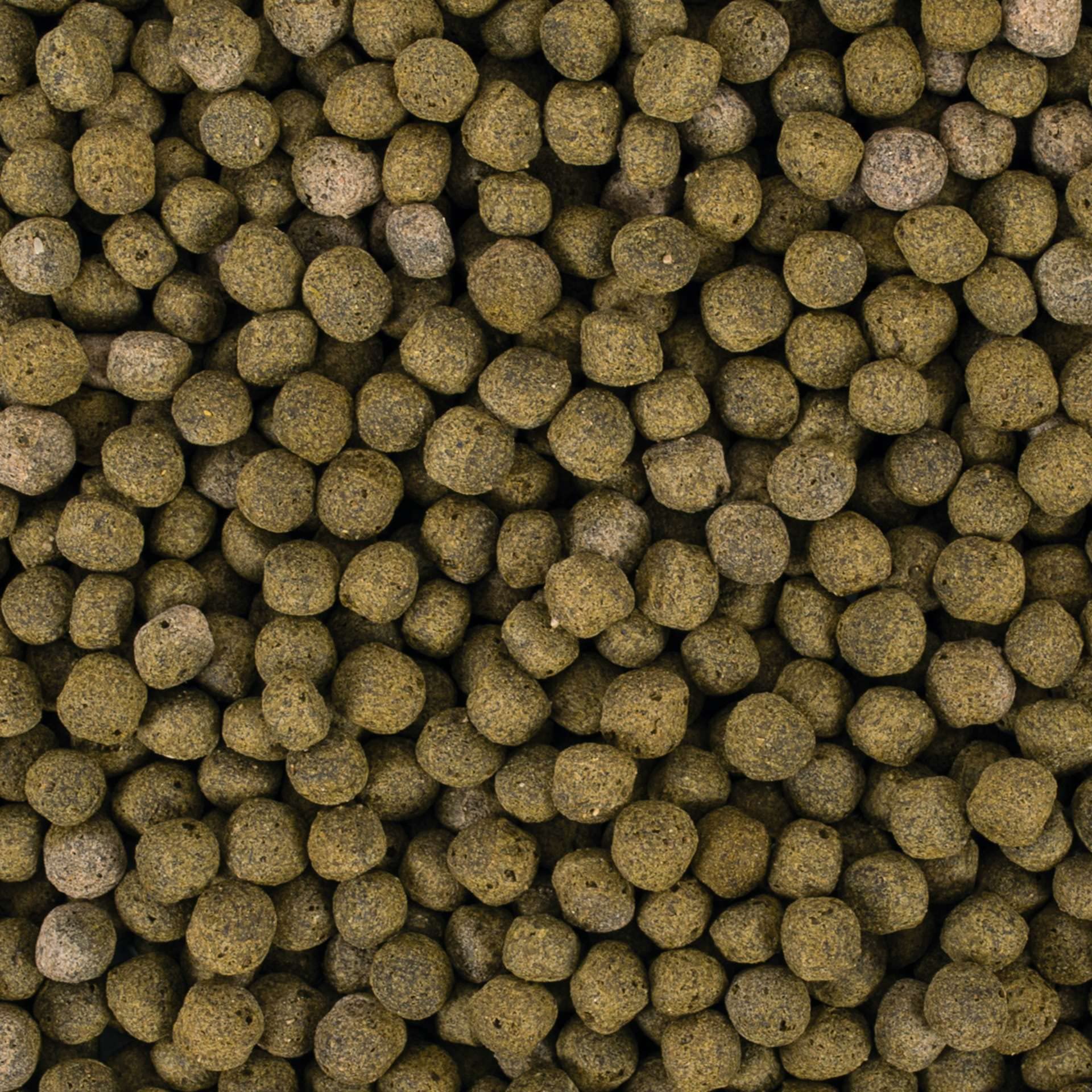 tropical-koi-spirulina-pellet-size-l-7-kg-teichfischfutter image 2