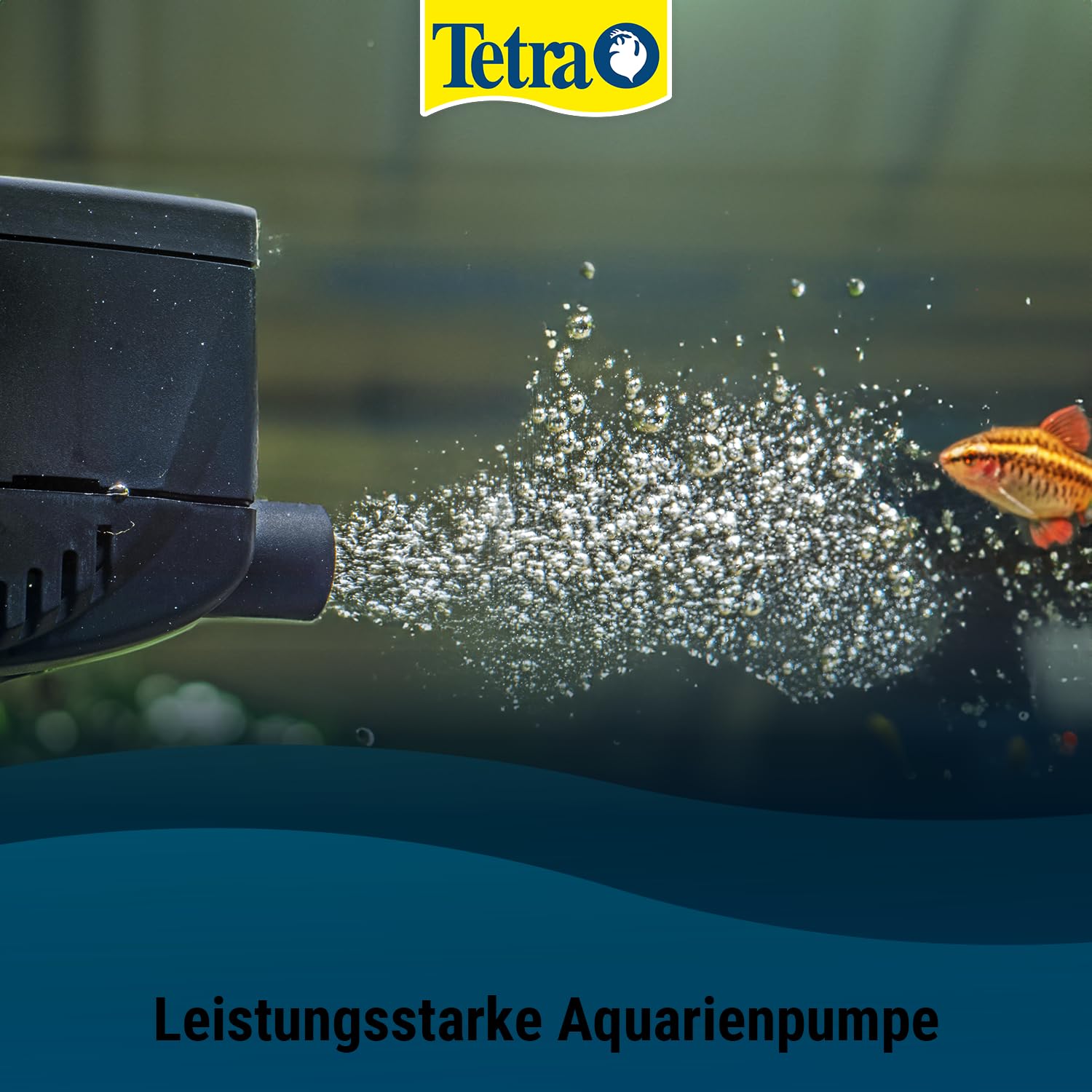 tetra-wp-300-wasserpumpe-tauchpumpe-f-r-aquarien-10-80-liter image 2