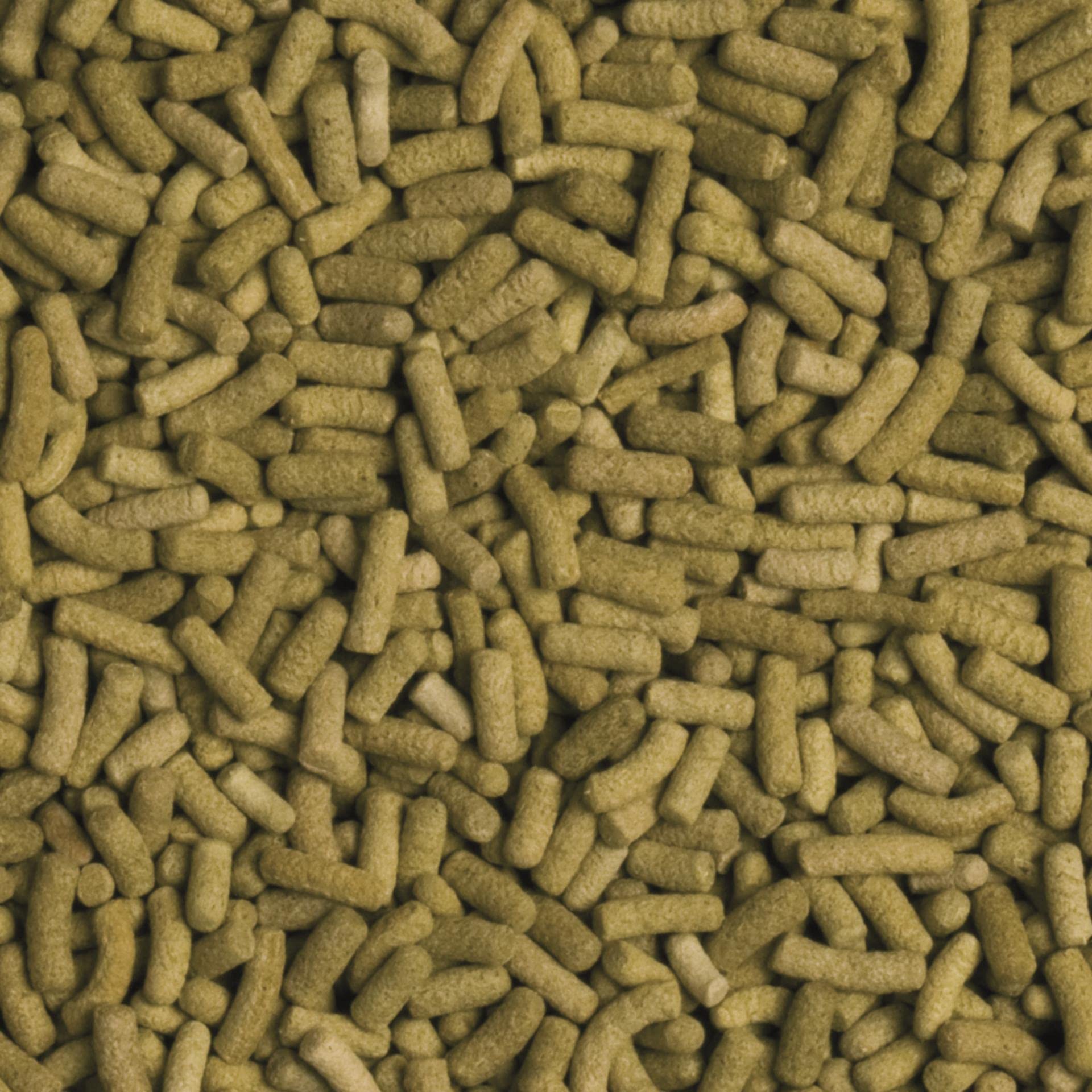 tropical-biorept-l-sticks-5-l-1-4-kg-landschildkr-tenfutter image 2