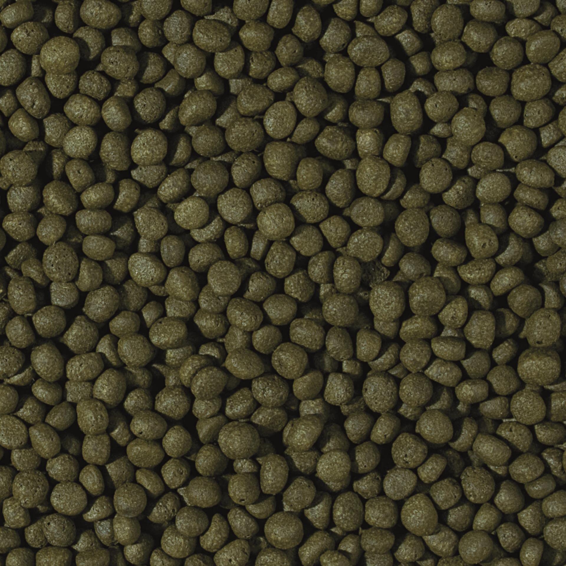 tropical-cichlid-herbivore-medium-pellet-schwimmendes-granulat-500-ml image 2
