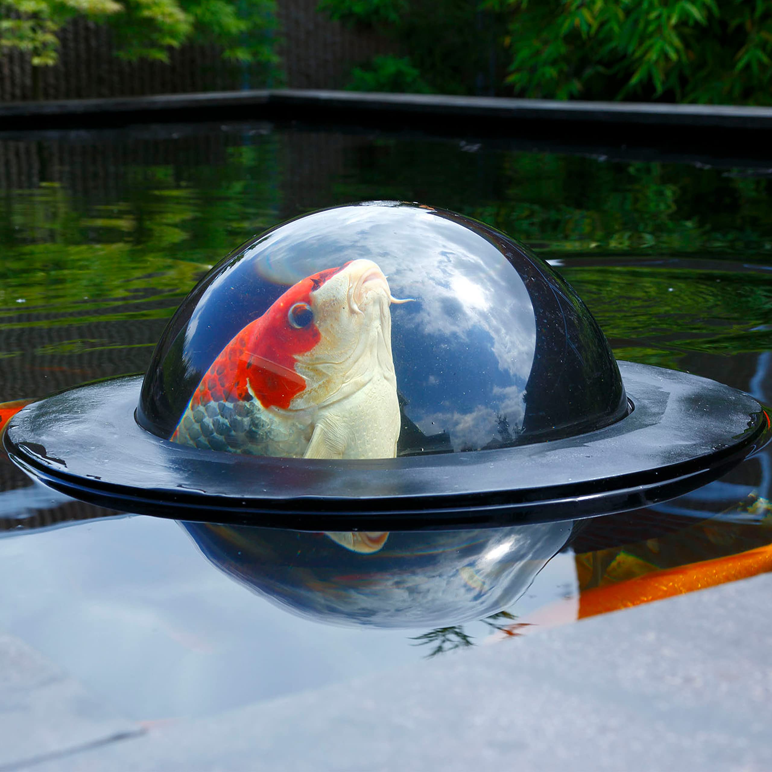 velda-123503-floating-fish-dome-m-35-cm-plexiglas-beobachtungskuppel-f-r-teichfi image 5