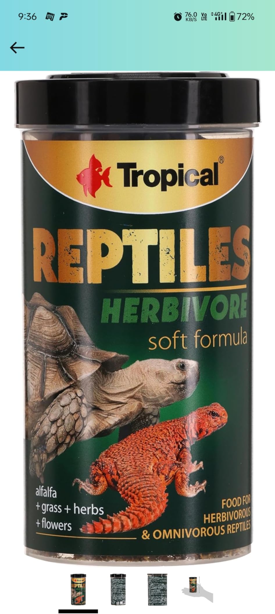 Bartagame frisst es gern