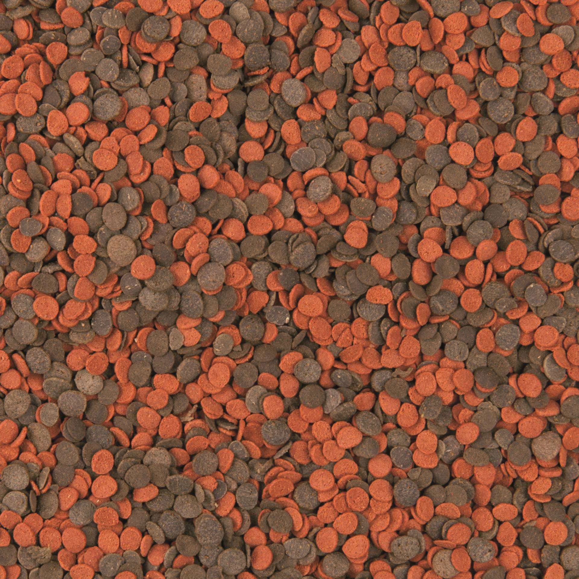 tropical-cichlid-chips-proteinreiches-chipsfutter-5-l-f-r-mittlere-und-gro-e-cic image 2