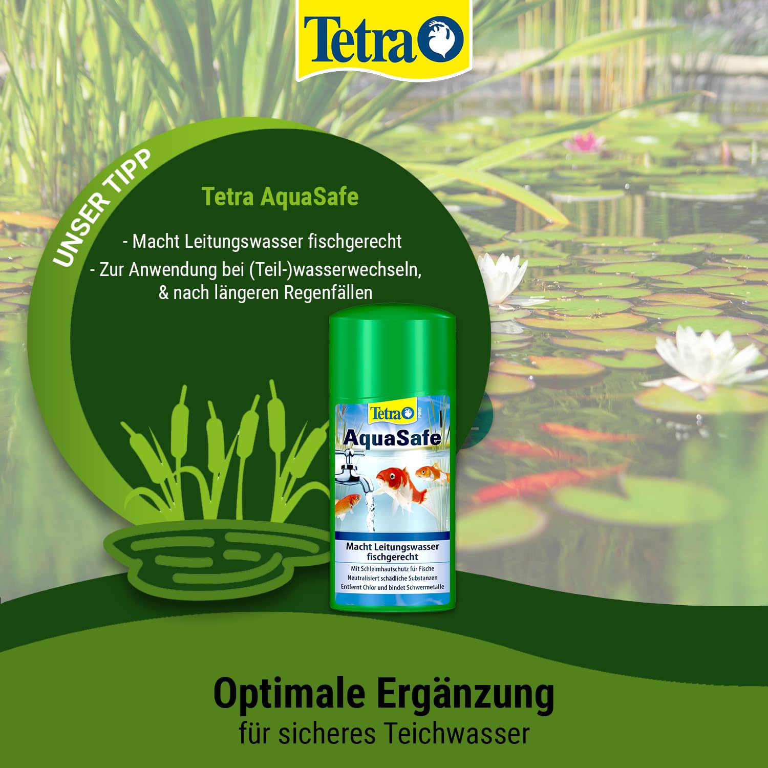 tetra-pond-filterzym-filterbakterien-10-kapseln image 7