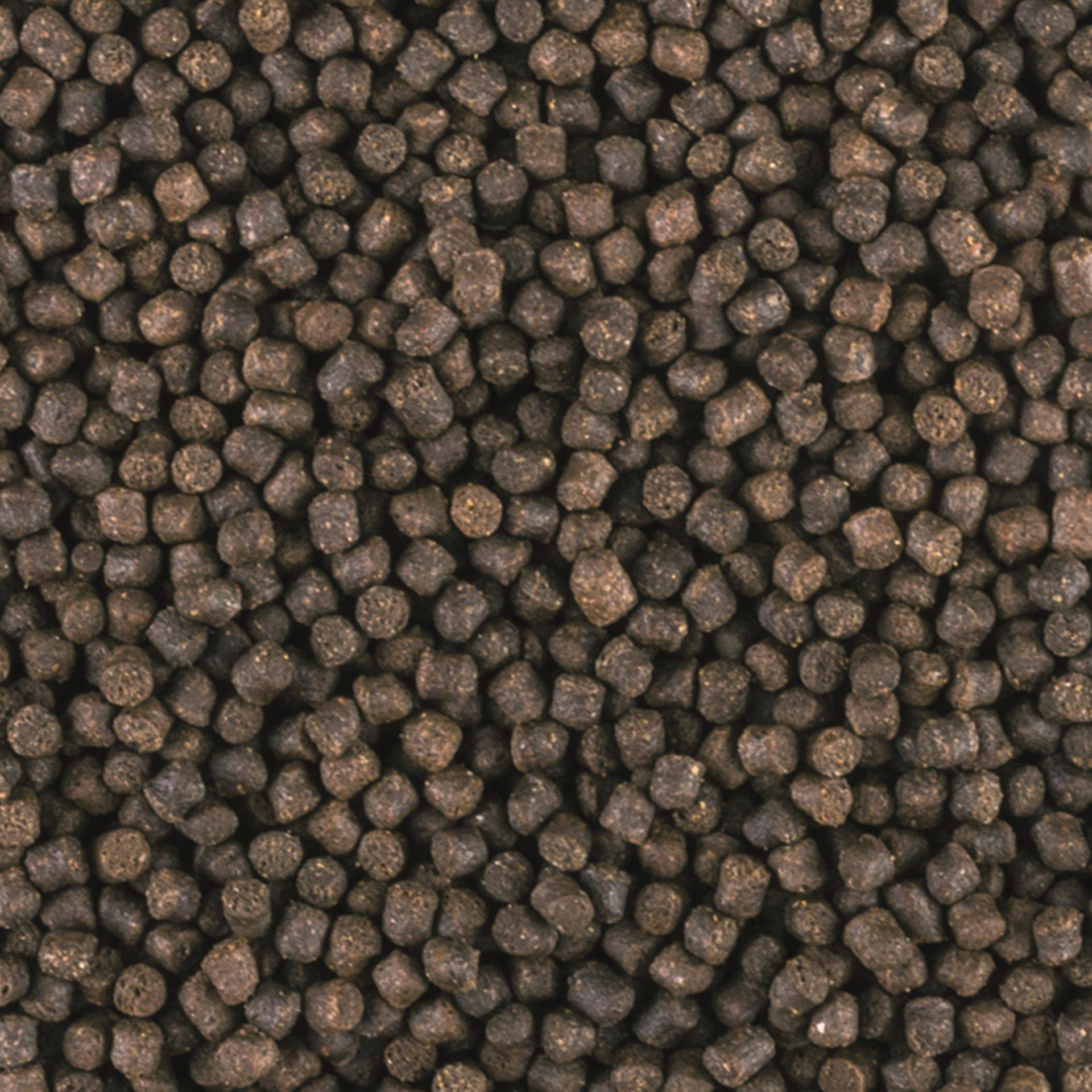 tropical-sterletts-basic-gr-e-m-sinkendes-granulat-f-r-bodenfische-1000-ml-500-g image 2