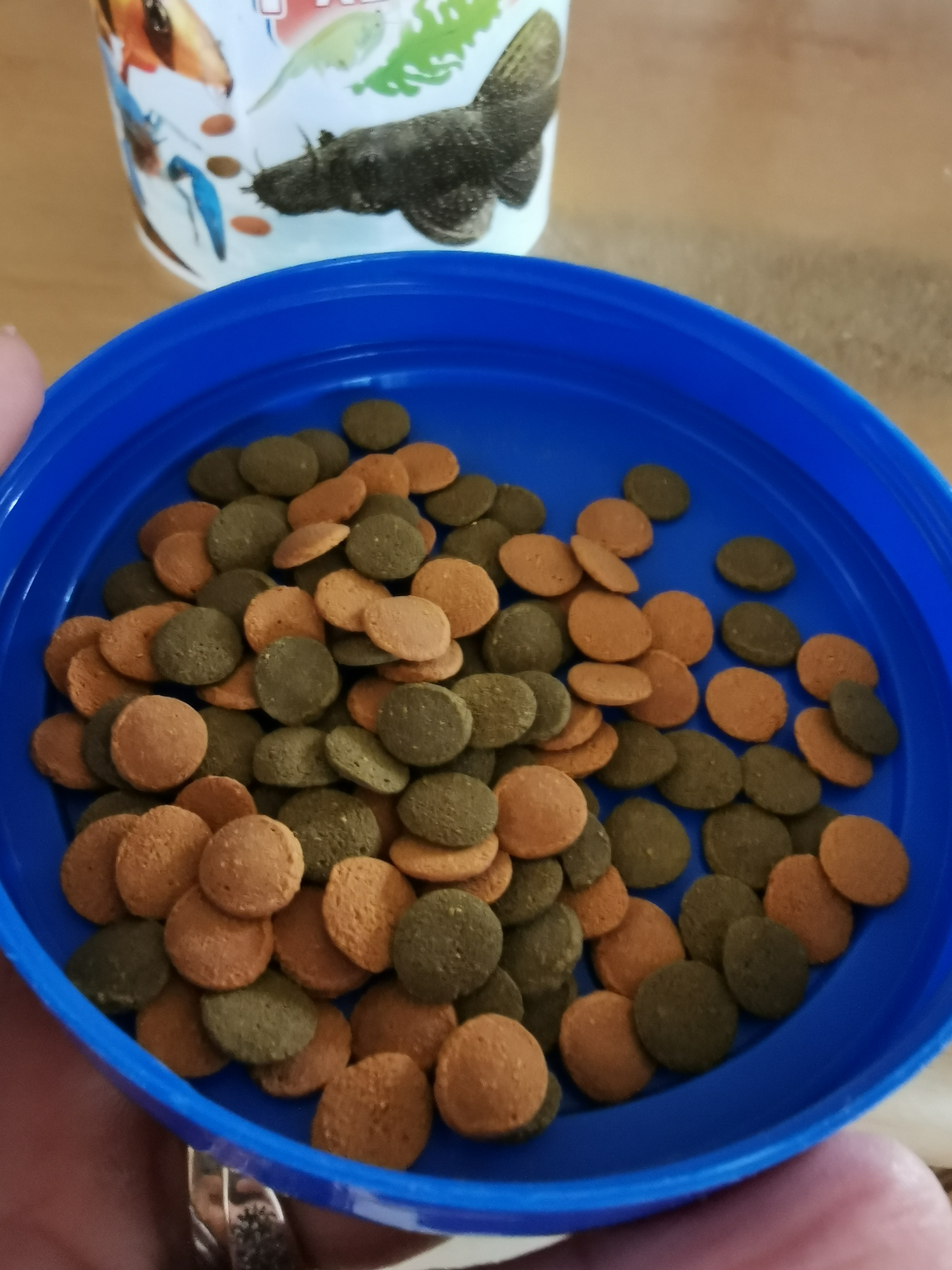 Mega, sogar Garnelen gehen dran