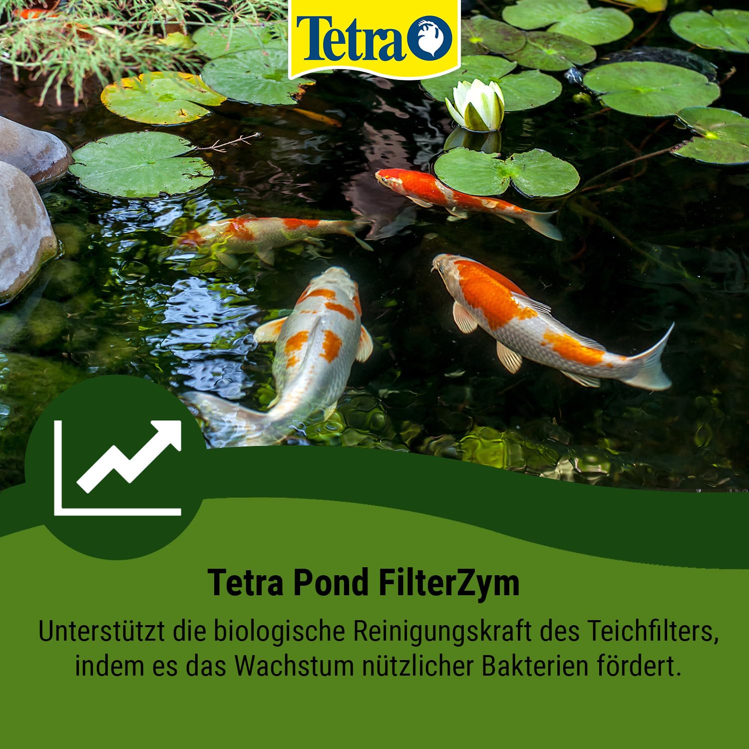 tetra-pond-filterzym-filterbakterien-10-kapseln image 2