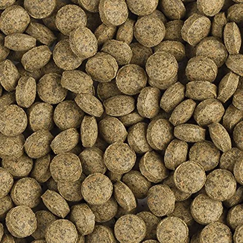 tropical-vege-tablet-b-pflanzenfutter-hafttabletten-f-r-bodenfische-1-kg image 1