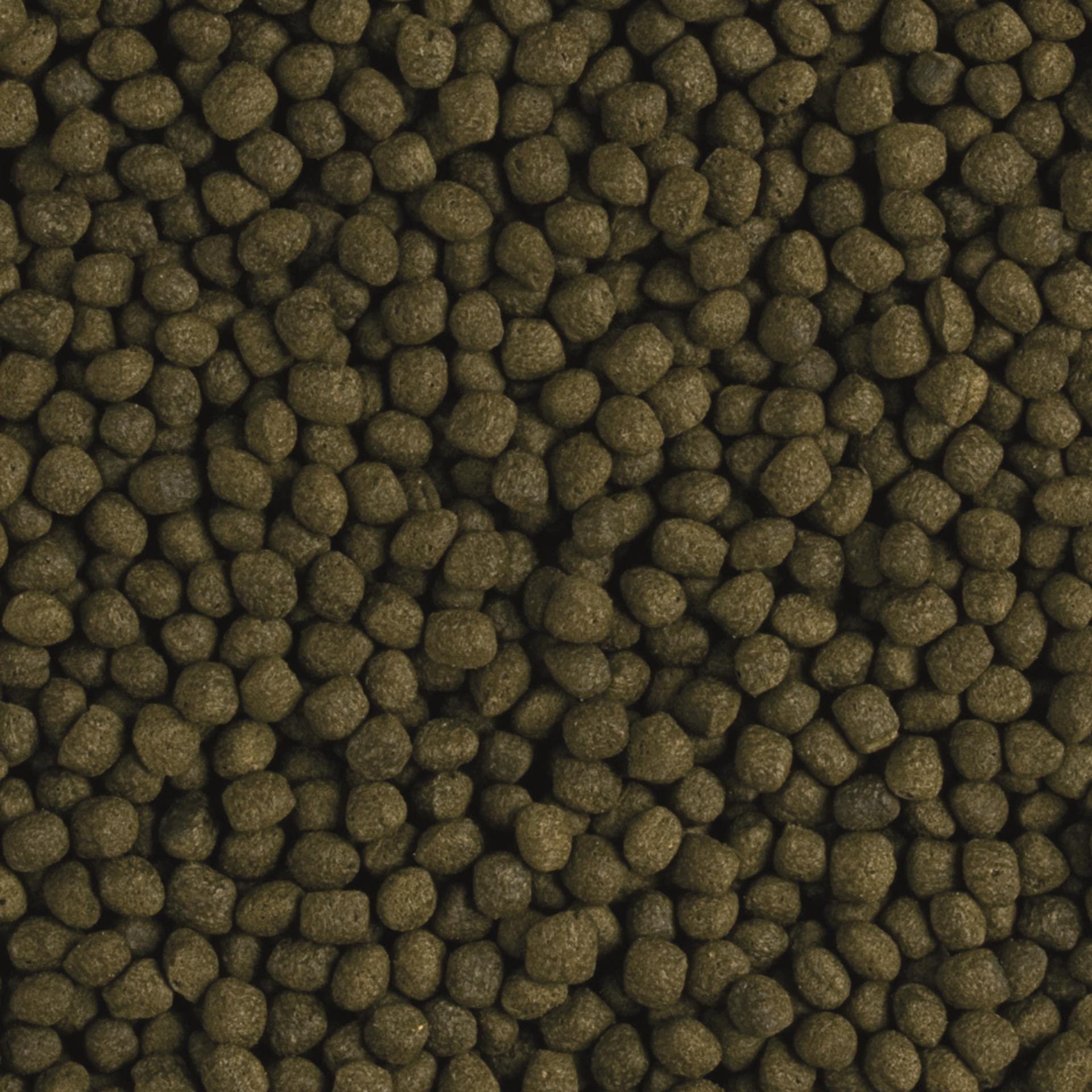 tropical-flower-horn-adult-pellet-500-ml image 2