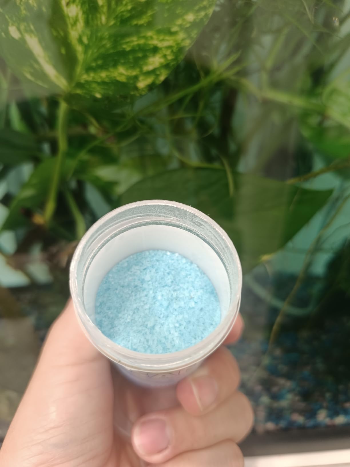 Sanfte Hilfe für meine Guppys