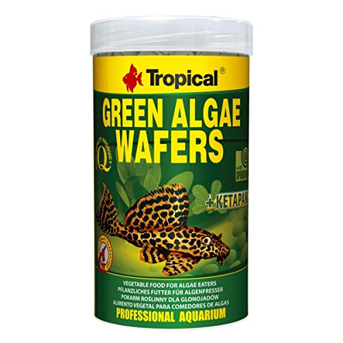 tropical-green-algae-wafers-welschips-250-ml-f-r-pflanzenfressende-bodenfische image 4