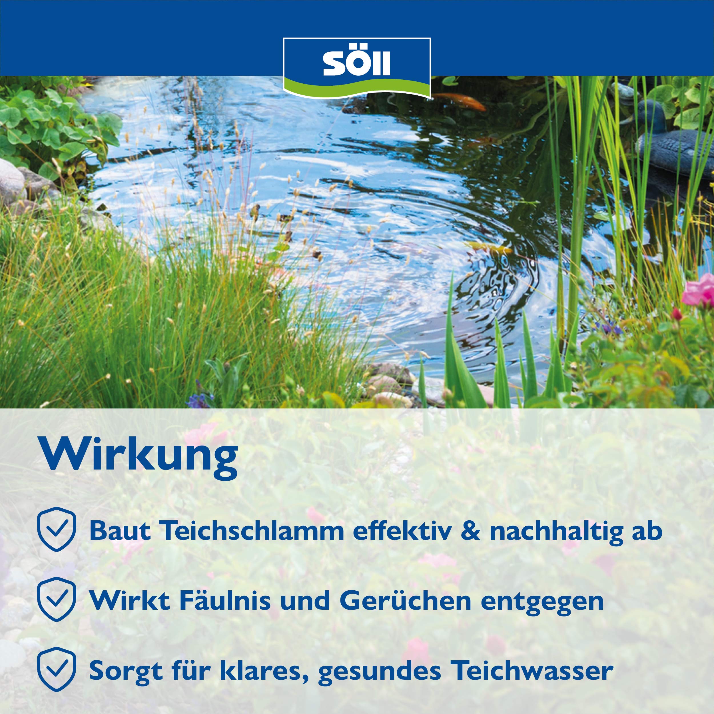 s-ll-teichschlammentferner-500-g-biologischer-teichreiniger-f-r-10-000-liter image 2